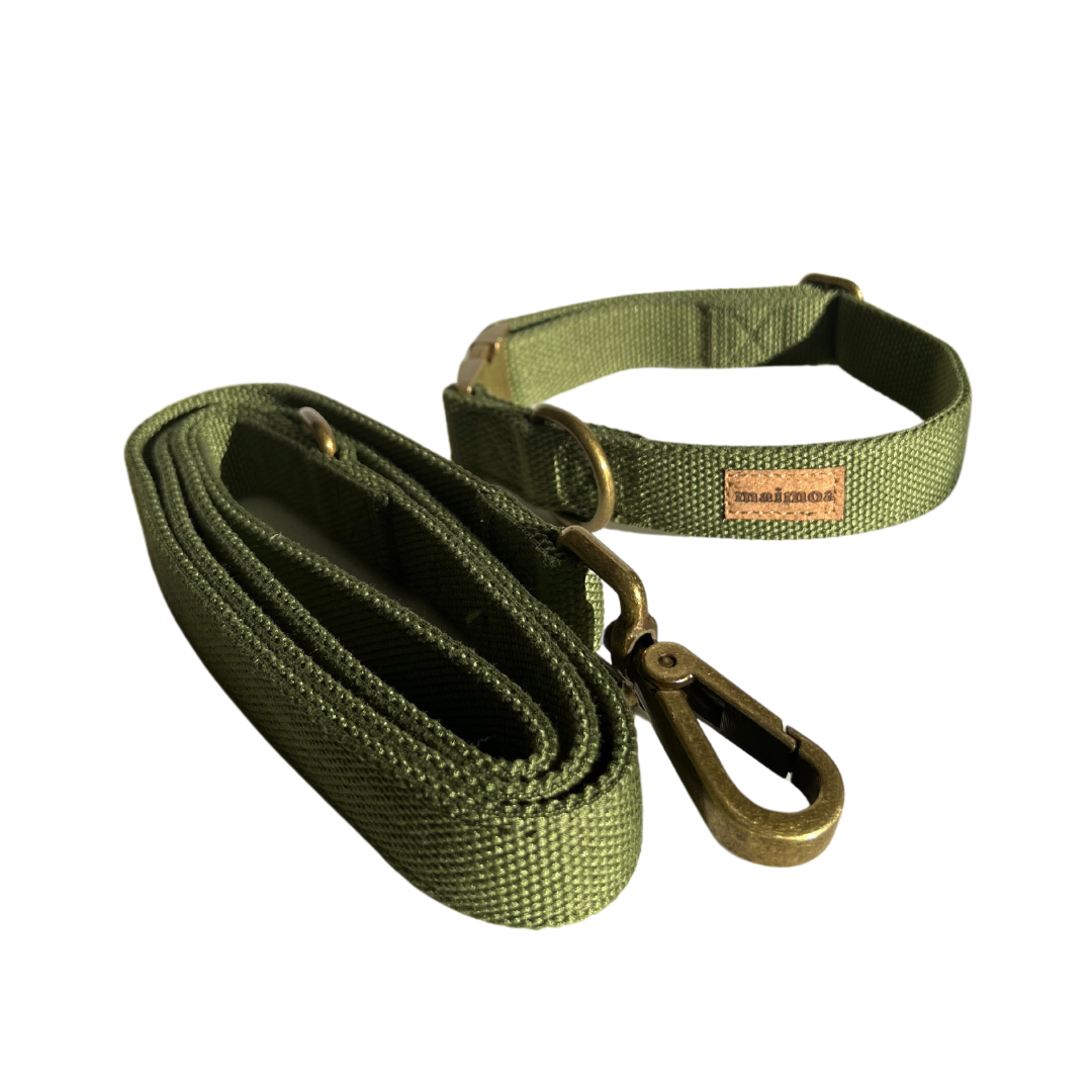 greendogcollarandleadnz