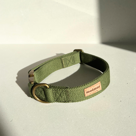 nz dog collar green