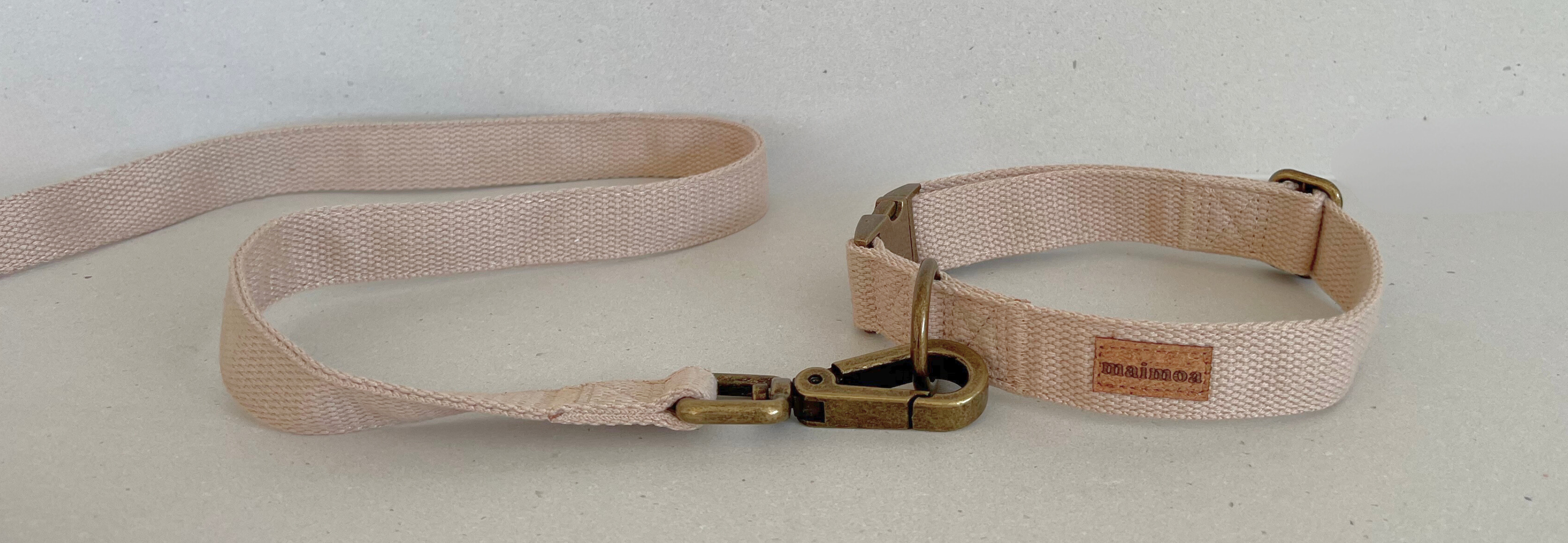 dog collars and leash nz